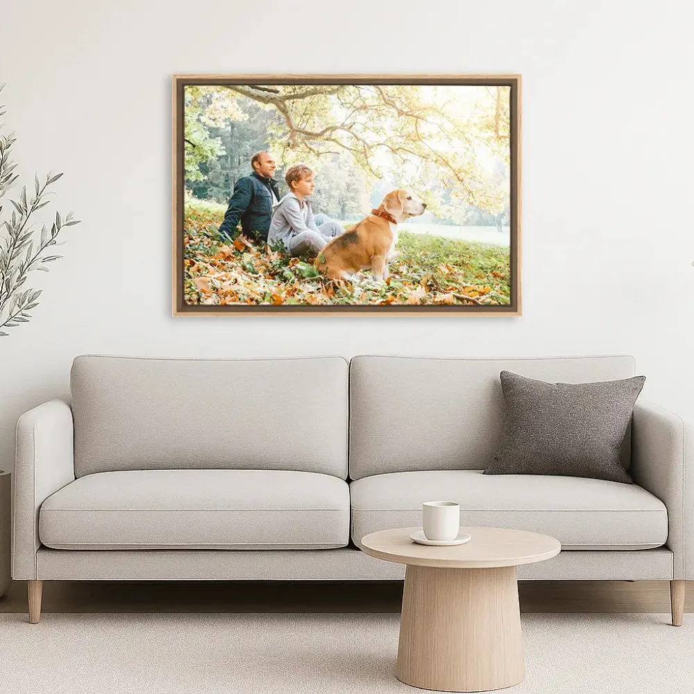 Framed canvas prints